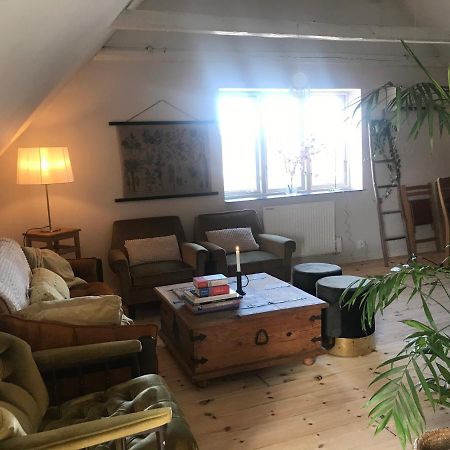 Löderup Botanikerns Hus 빌라 외부 사진