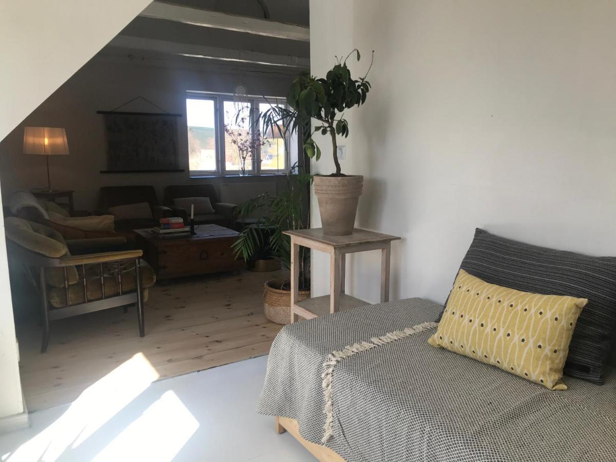 Löderup Botanikerns Hus 빌라 외부 사진