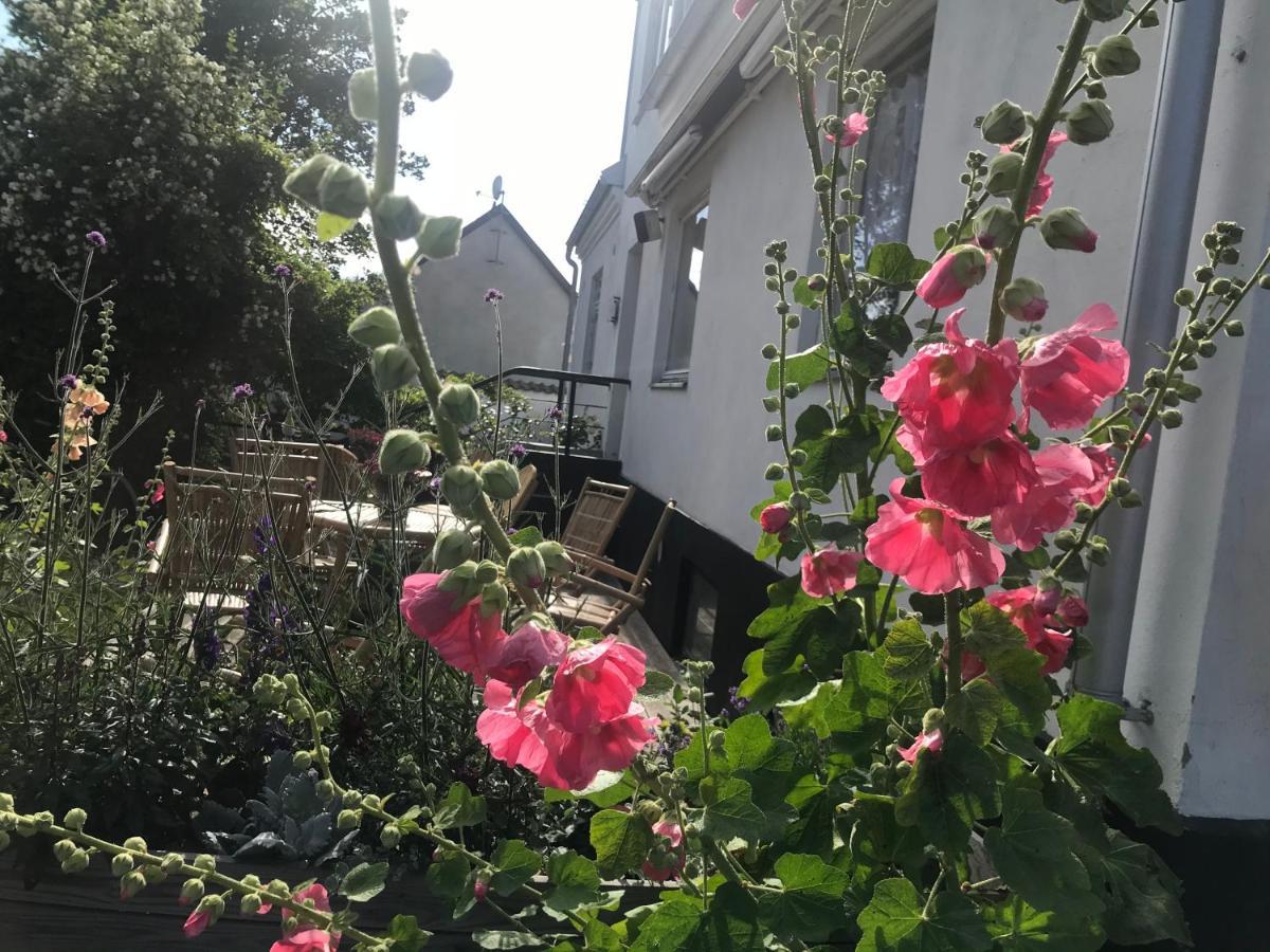 Löderup Botanikerns Hus 빌라 외부 사진