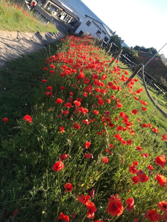 Löderup Botanikerns Hus 빌라 외부 사진