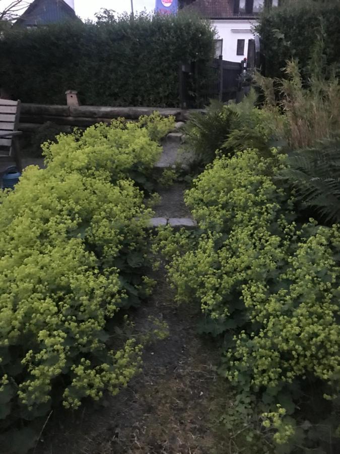 Löderup Botanikerns Hus 빌라 외부 사진