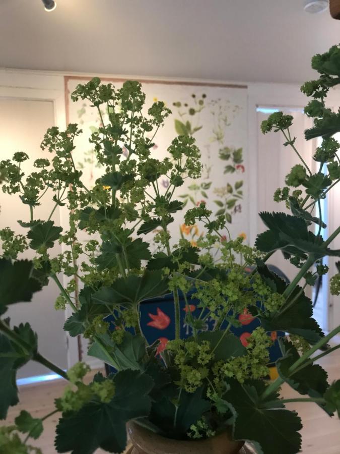Löderup Botanikerns Hus 빌라 외부 사진